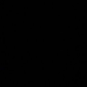 Meet your Posher, Gagan